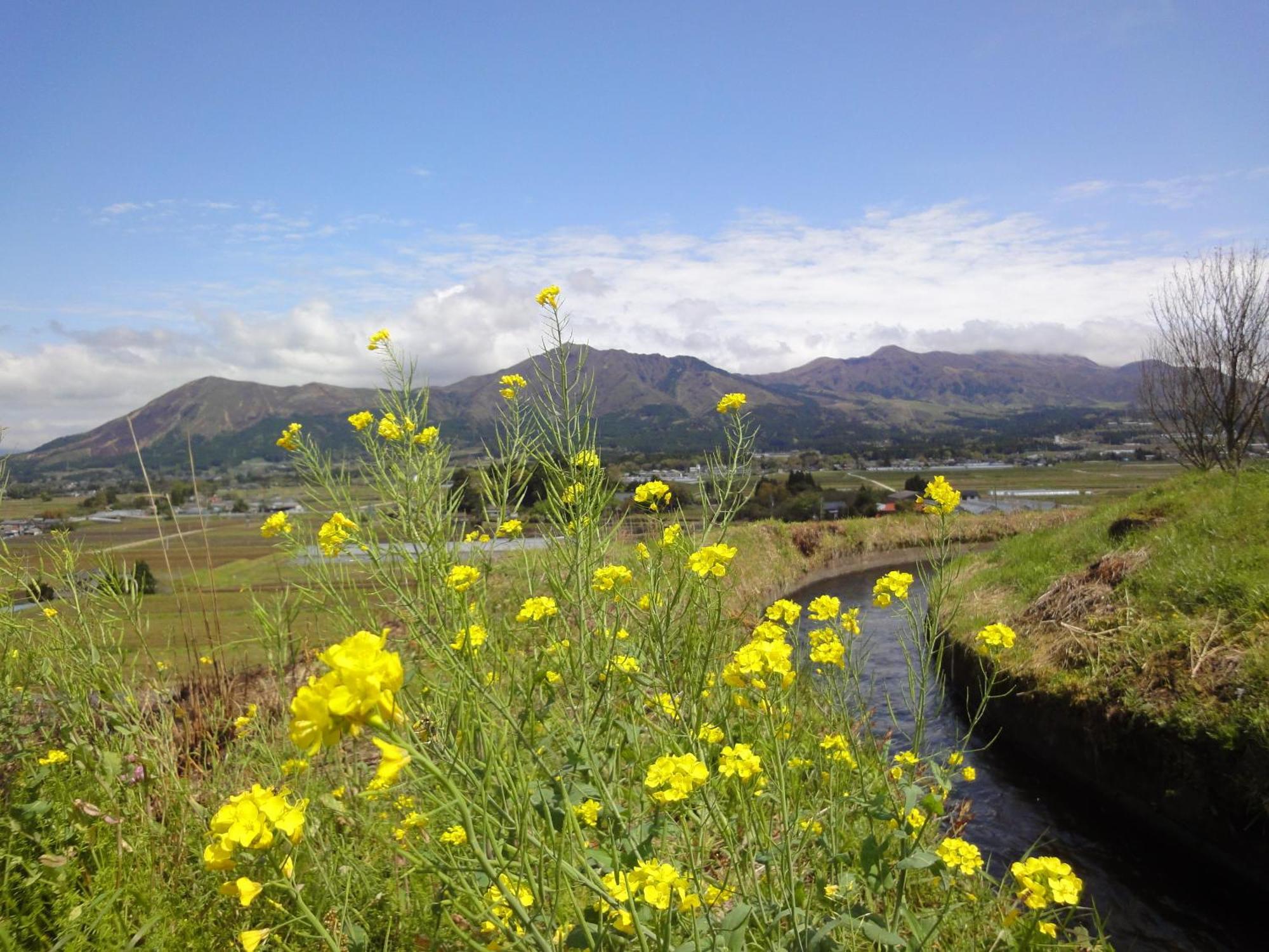 Shikino Mori Aso Exterior foto