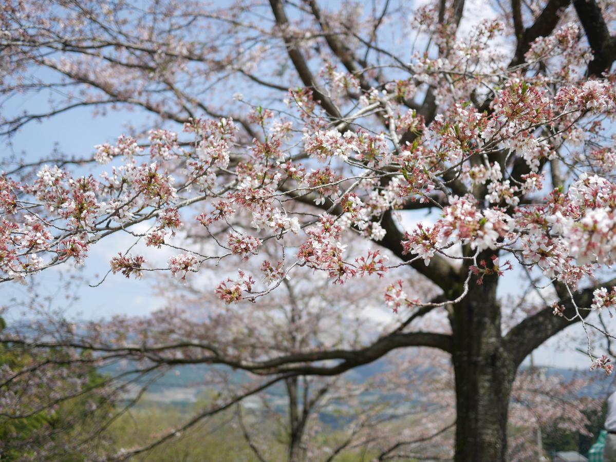 Shikino Mori Aso Exterior foto
