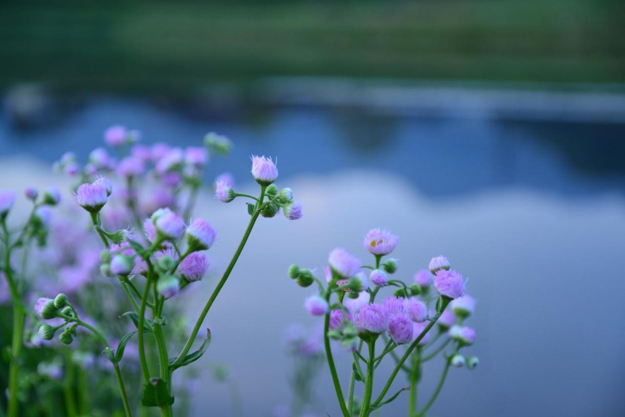 Shikino Mori Aso Exterior foto