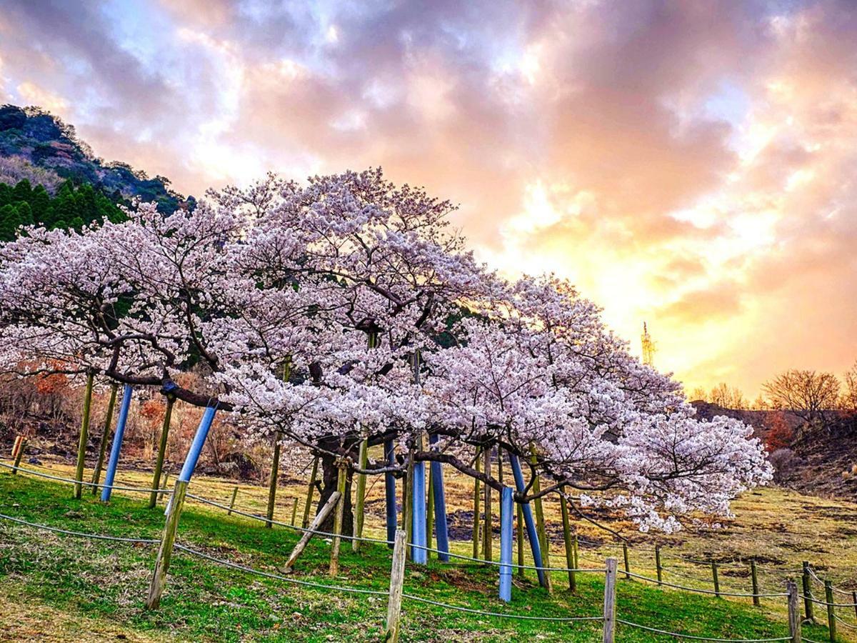 Shikino Mori Aso Exterior foto